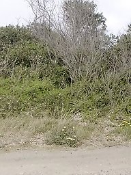 A girl is trying on a naughty outfit for a night at the sex club